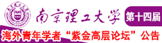 爆操嫩逼视频观看南京理工大学第十四届海外青年学者紫金论坛诚邀海内外英才！